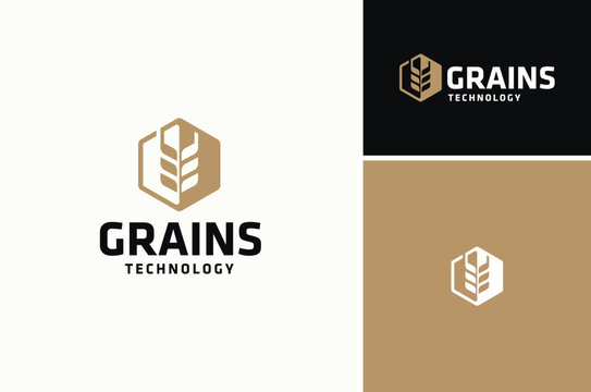 Golden Rice Oat Wheat Grains Silhouette in Hexagon Shape for Farm Cultivation Plantation Technologies Logo