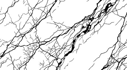 Obraz premium Abstract Black Marble Veins Pattern on White Background