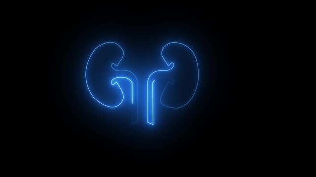 Glowing blue neon line Human kidneys icon isolated on black background . Human kidney animated icon.