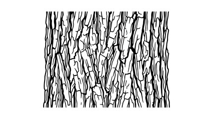 Detailed illustration of rough tree bark texture, natural pattern, organic surface © Kamis
