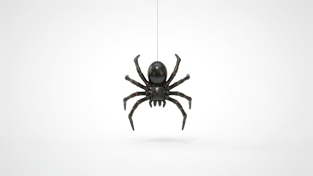 Black Spider Hanging on Web Thread Isolated on White Background