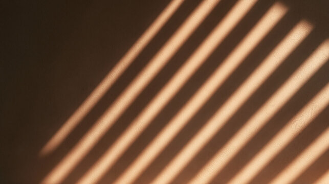 Sunlight Streaming Through Venetian Blinds on Wall
