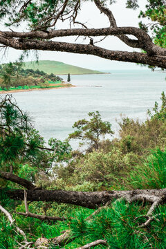 Cunda island Ayvalik Turkey Aegean Sea and nature