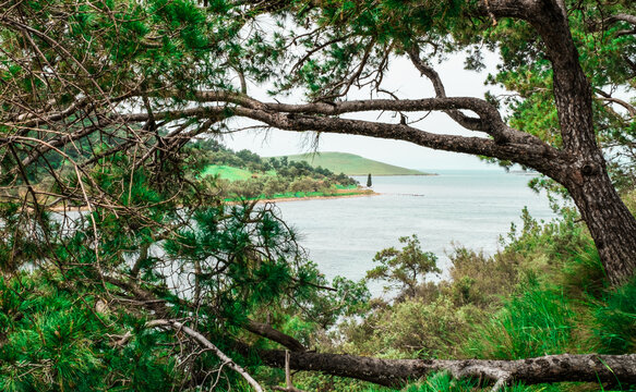Cunda island Ayvalik Turkey Aegean Sea and nature