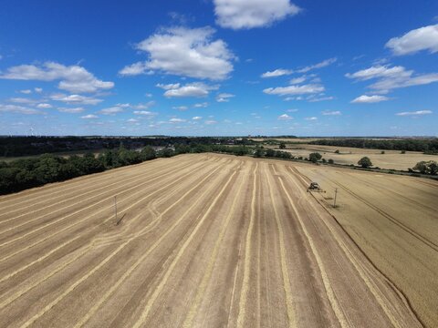 Aerial view of a combine harvester working in a harvested wheat field with rows of stubble, surrounded by trees and a blue sky in Finedon, England, United Kingdom.