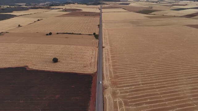 Aerial view of brihuega lavender and wheat fields with road