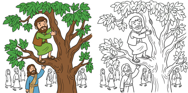 Zacchaeus in Sycamore Tree with Jesus Bible Story Illustration and Coloring Page Line Art Vector