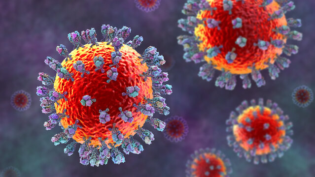 Junin virus particle, 3D illustration showing enveloped arenavirus with granular ribonucleoprotein structure, causative agent of Argentine hemorrhagic fever.