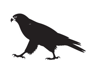 Fototapeta premium Walking Falcon Silhouette Black Vector Bird of Prey Illustration