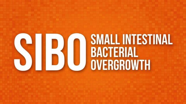 Sibo small intestinal bacterial overgrowth text graphic featuring white bold letters on a textured orange background