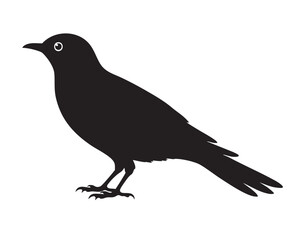 Fototapeta premium Blackbird Side View Silhouette Black Vector Illustration