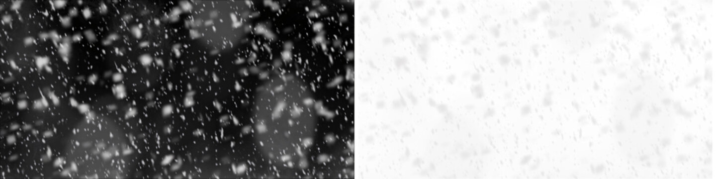 Snow storm overlay isolated on black background falling particles texture transparent effect graphic element realistic winter holiday weather blizzard motion art.