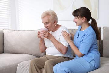 Fototapeta premium Caregiver supporting elderly woman with cup of drink on sofa indoors