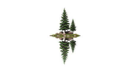 Obraz premium Minimalist nature scene with rocks and grass on a white background with reflection
