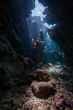 Vertical view of a massive coral reef pinnacle inside a cave with sun rays
