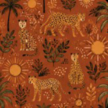 giraffe in the zoo