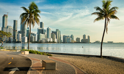 Obraz premium Miami Brickell Skyline and Palm Trees Along Biscayne Bay Waterfront