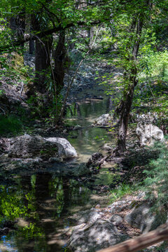 A small creek flows quietly through the Butterfly Valley in Rhodes