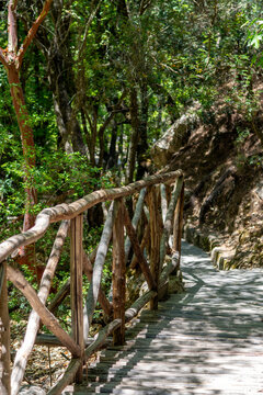 Walking path through the Butterflies Valley in the island of Rhodes
