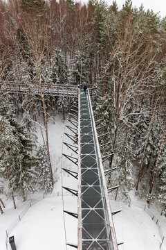 View of the Treetop Walking Path surrounded by snow-covered pine trees with a person standing on the metal walkway in Anyksciai, Utenos apskritis, Lithuania.