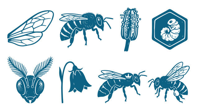 Set of honey bee icons with wings, queen bee, flower, and larvae illustrations