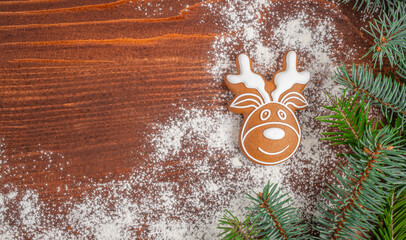 Christmas Reindeer Gingerbread Cookie with Copy Space © Надія Коваль