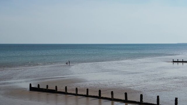 Bognor Regis West Sussex England UK. 14.07.2026. Video. A solitary figure strolls along a wet sandy beach with their canine companion, accompanied by wooden groynes and the gentle lapping of the sea