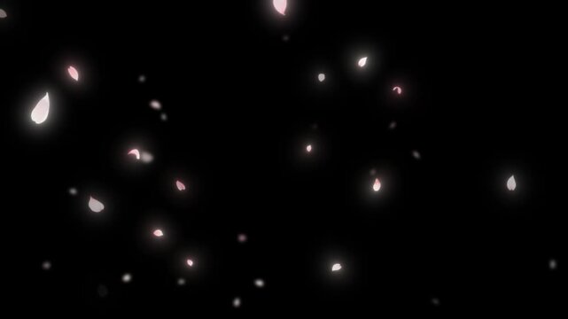 Floating petals and sparkling glitter particles overlay motion graphic on vivid green screen backdrop with particles drifting across dynamic overlay falling bright sparkling light