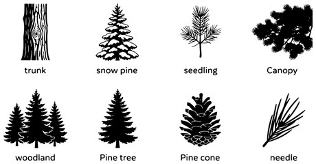 Coniferous Tree Elements Vector Set: Pine Tree, Trunk, Seedling, Cone, Needle, Woodland © ArifIslam