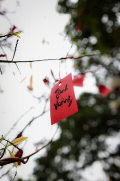 View of a red tag with calligraphy hanging from a tree branch at The Marble Mountains, Da Nang, Da Nang, Vietnam.