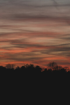 View of the vibrant sunset sky with orange and pink clouds above the silhouetted treeline on Vormsi, Laane County, Estonia.