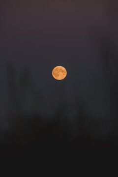 View of the full moon glowing in the dark night sky in Merikula, Harju maakond, Estonia.