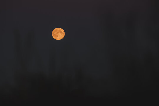 View of a bright orange full moon glowing in the dark night sky over Merikula, Harju maakond, Estonia.