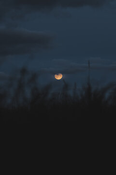View of the full moon partially obscured by dark clouds above silhouettes of tall grass at night in Merikula, Harju maakond, Estonia.