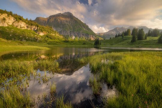 View of a serene alpine lake reflecting the surrounding mountain peaks and lush green meadows under a soft golden hour sky in Austria.