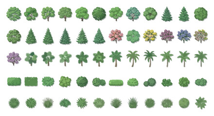 Variety Of Trees Top down View Colorful Vector Illustration © rita