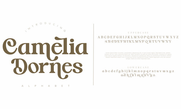 Camelia Dornes,  Typography modern serif fonts regular decorative vintage concept. vector illustration