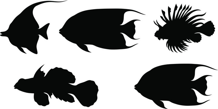 Tropical fish silhouettes on a white background vector illustration of marine life for design projects