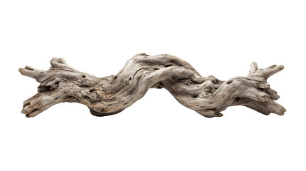 Obraz premium Gnarled weathered piece of driftwood isolated on transparent background
