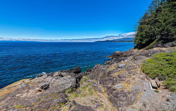 Rocky Coastal View Over Blue Ocean With Bench and Trees on Sooke Shore, Vancouver Island