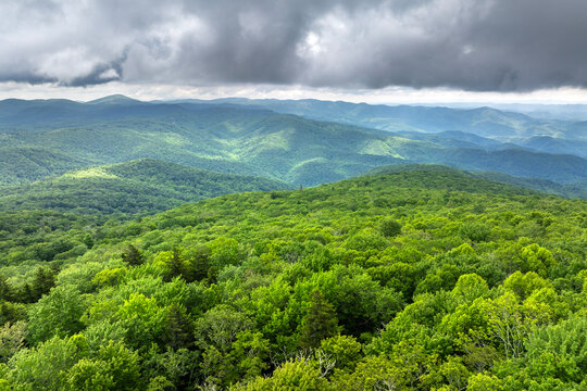 Summer forest on Appalachian mountain hills in North Carolina. Summertime landscape of beautiful nature in rainy humid weather