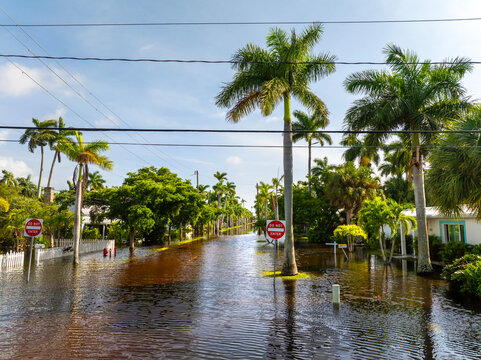 Tropical rainstorm flooded residential homes in suburban community in Punta Gorda, Florida. Hurricane Milton aftermath