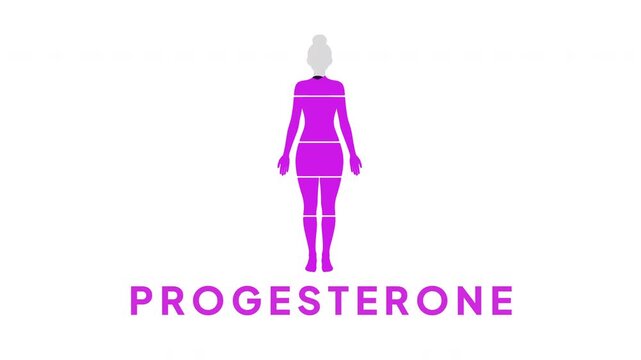 Progesterone Level Meter Animation with Female Body Indicator and Hormone Progress Infographic