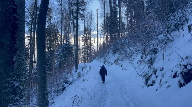 Wanderer im Winter auf einem Wanderweg im Chiemgau im Wald, Alpen, Bayern, Deutschland
