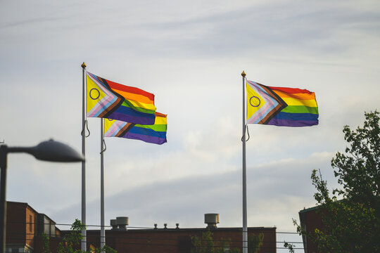 Intersex Progress Pride flags flying above urban skyline.