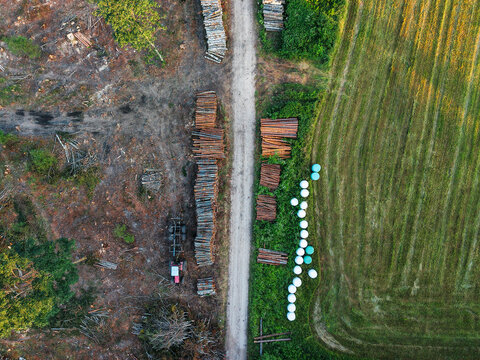 Aerial view of a cleared forest area with felled trees and stacked logs. Dirt path runs alongside the site. Green trees remain on surrounding slopes. Sunlight casts shadows across the terrain