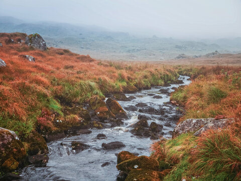 Small stream flows through mossy valley. Rocky banks line waterway. Autumn grasses glow in red and gold. Mist softens distant hills. No animals or plants identified
