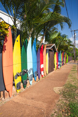 Colorful Surfboard Fence Lining a Tropical Street Beside Palm Trees and Blue Sky, Paia, Maui, Hawaii, USA © EyesTravelling
