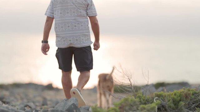 Man walks with airedale terrier dog along the ocean coast at sunset