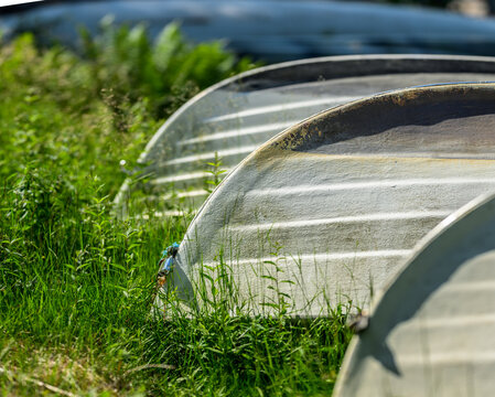 Overturned rowboats resting in tall lakeside summer grass.